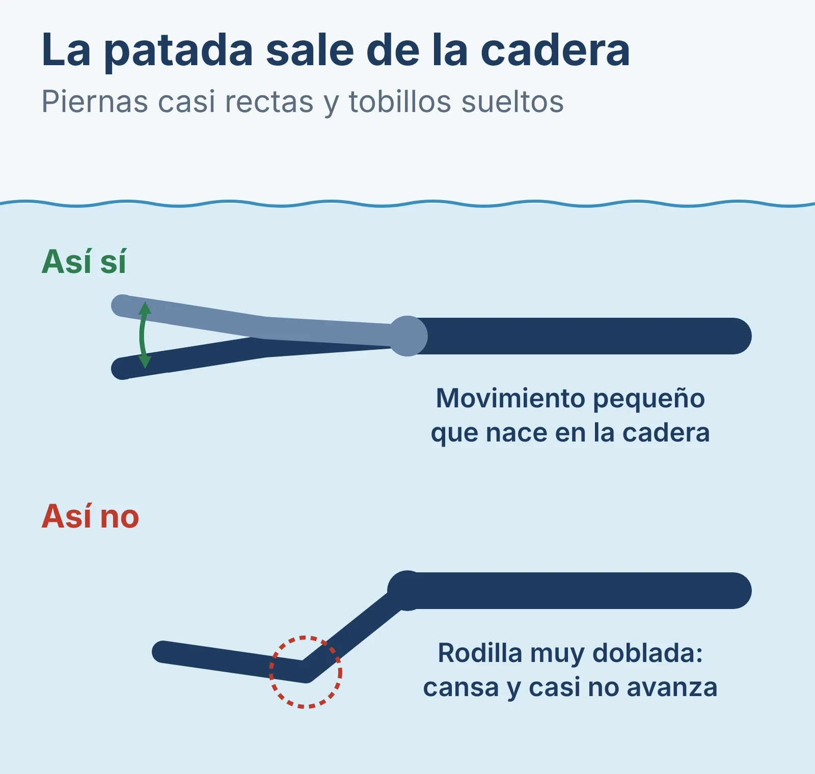 Diagrama de la patada con aletas: bien, con la pierna casi recta moviéndose desde la cadera; mal, con la rodilla muy doblada.