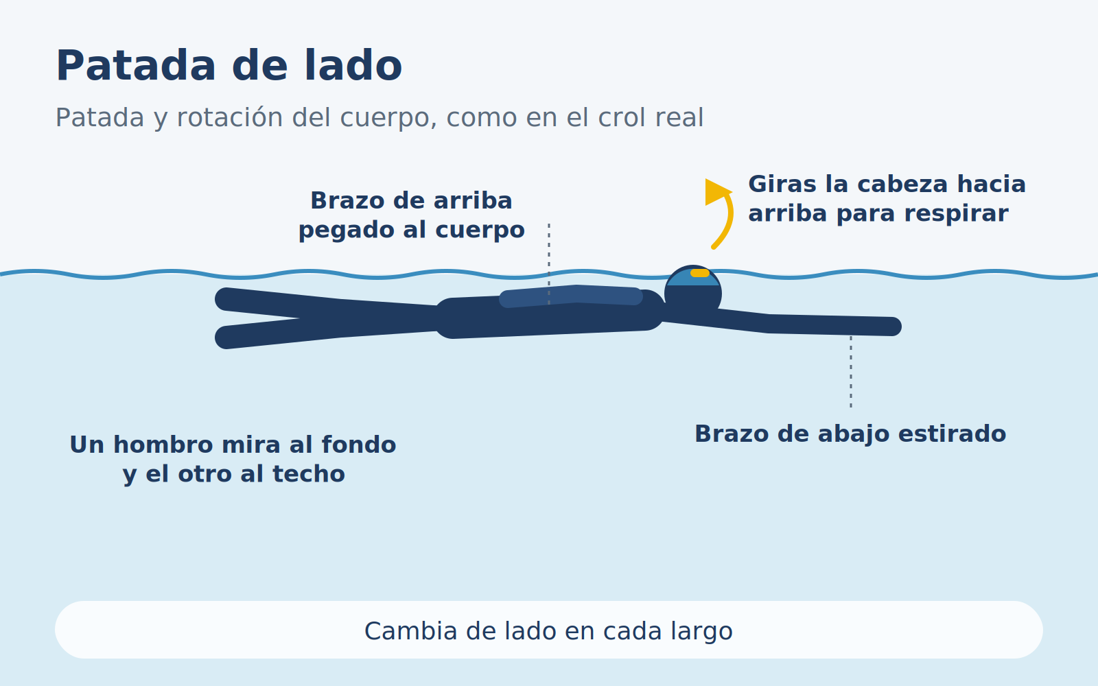 Diagrama del ejercicio de patada de lado en crol.