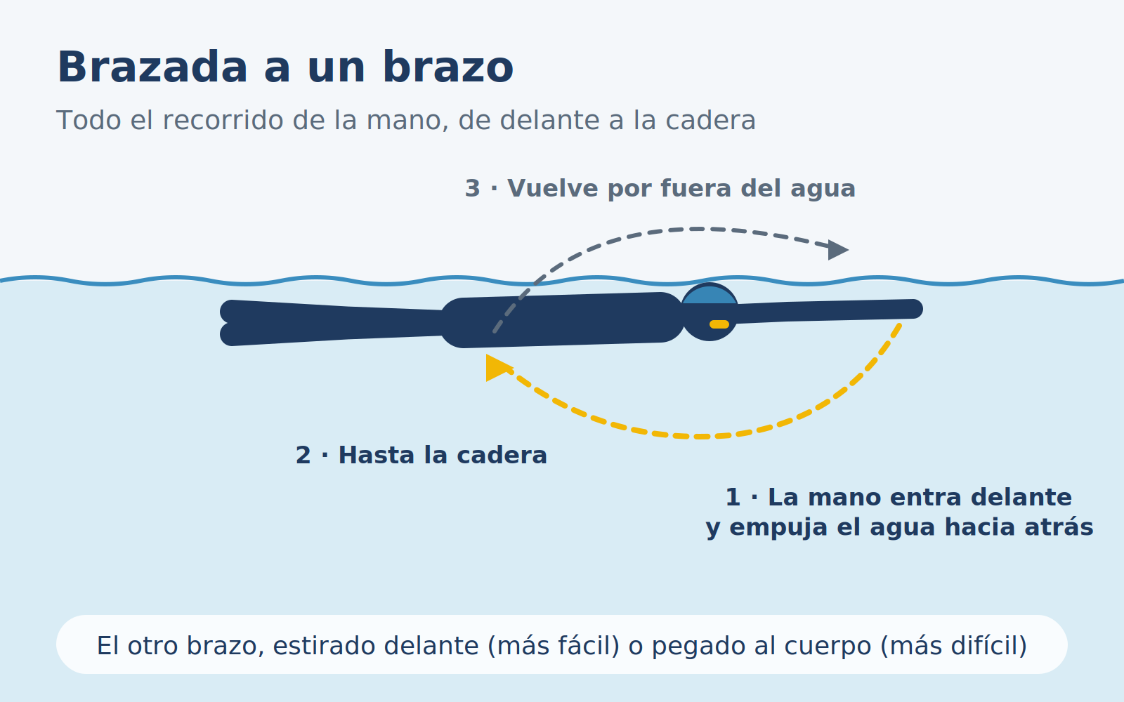 Diagrama del ejercicio de brazada a un brazo en crol.