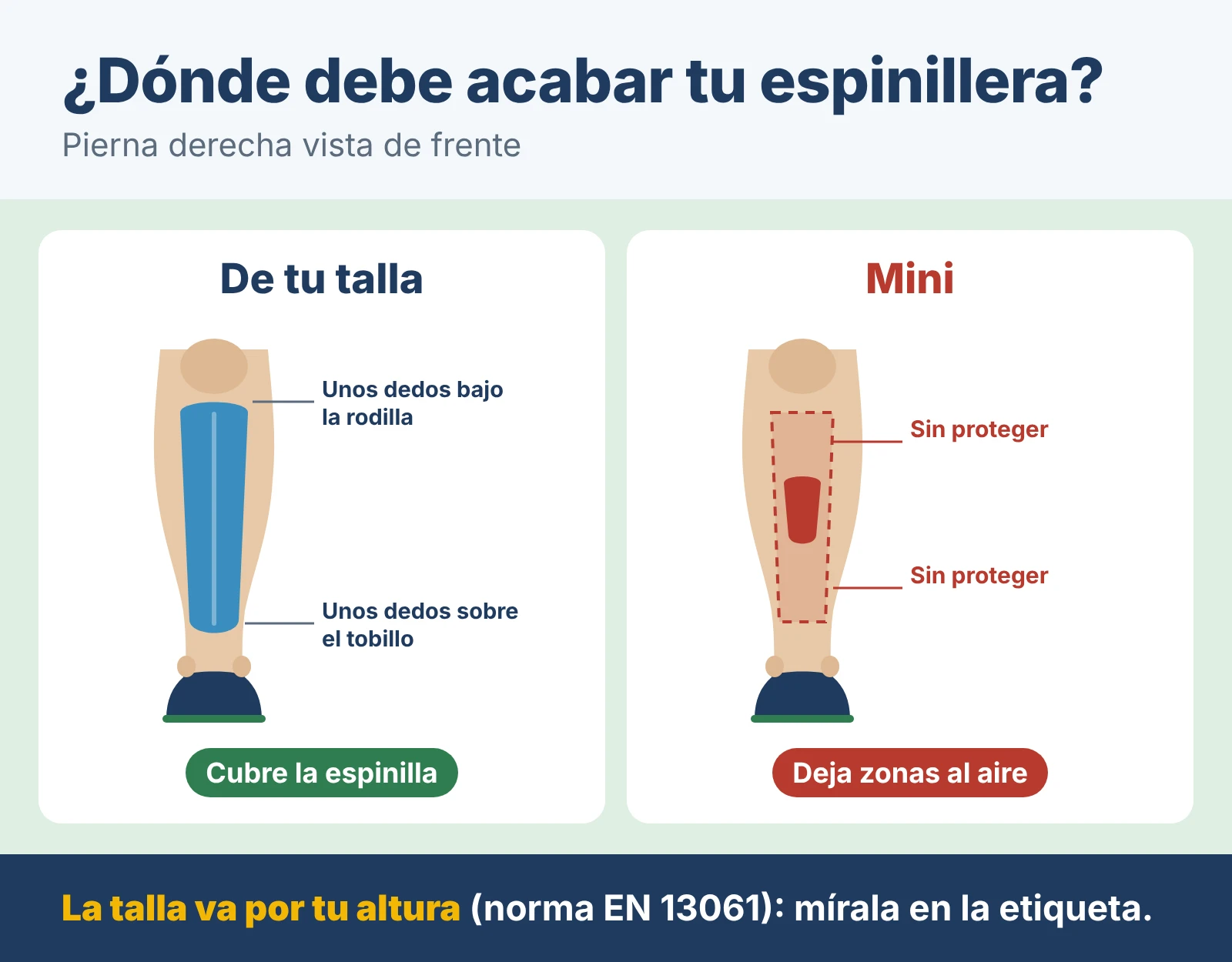 Pierna derecha vista de frente. Una espinillera de tu talla va desde unos dedos por debajo de la rodilla hasta unos dedos por encima del tobillo y cubre la espinilla; una mini deja zonas sin proteger por arriba y por abajo. La talla va por tu altura (norma EN 13061).