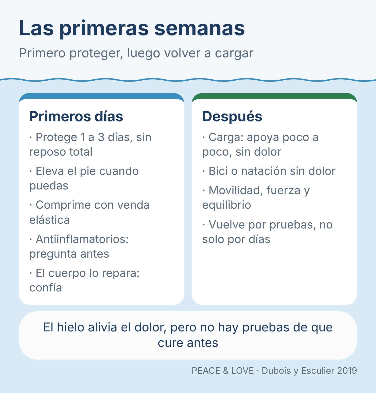 Diagrama: Las primeras semanas. Primero proteger, luego volver a cargar.