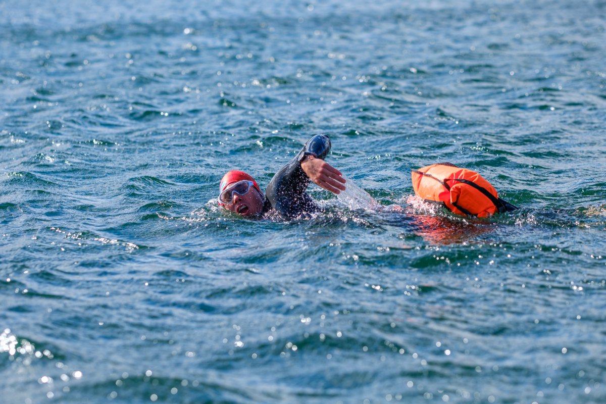 Nadadores en aguas abiertas con gorros naranjas y boya de seguridad.