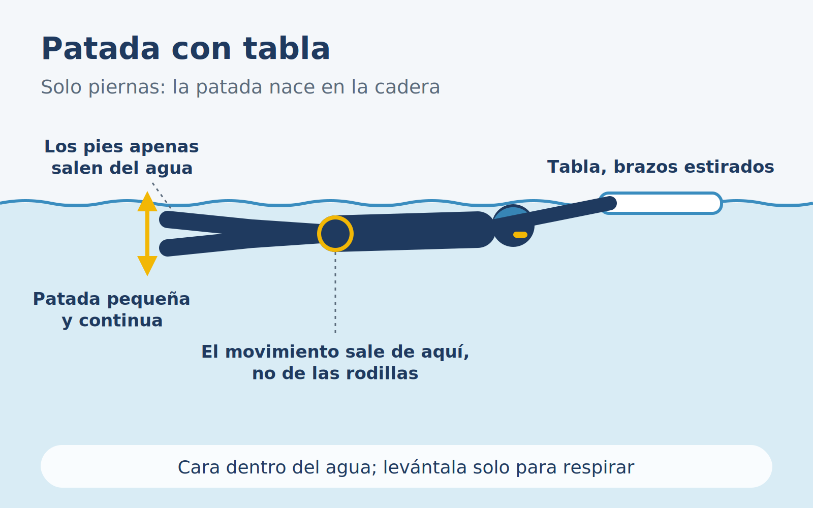 Diagrama del ejercicio de patada con tabla en natación.