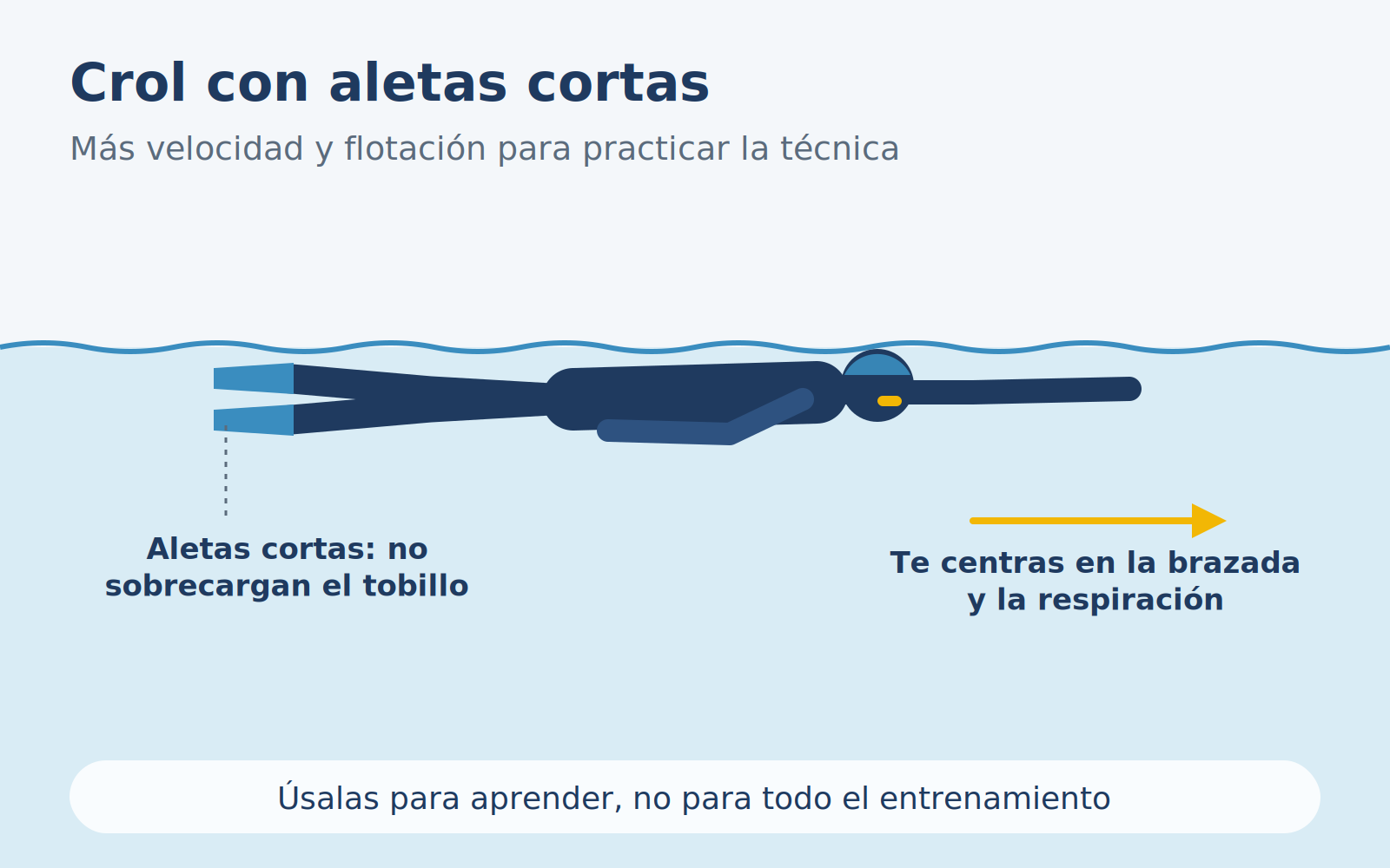 Diagrama de un nadador a crol con aletas cortas.