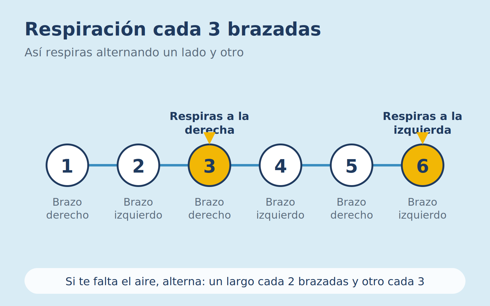 Diagrama de la respiración cada 3 brazadas en crol, alternando un lado y otro.