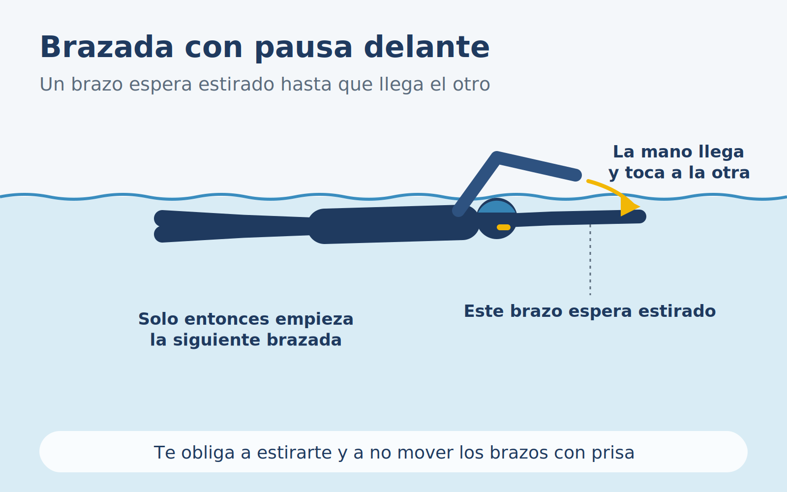 Diagrama del ejercicio de brazada con pausa delante en crol.