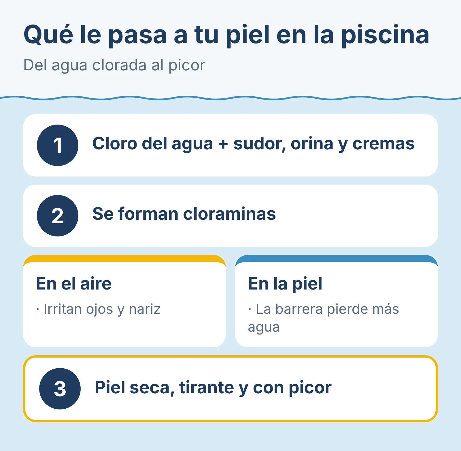 Diagrama: qué le pasa a tu piel en la piscina, del agua clorada al picor.