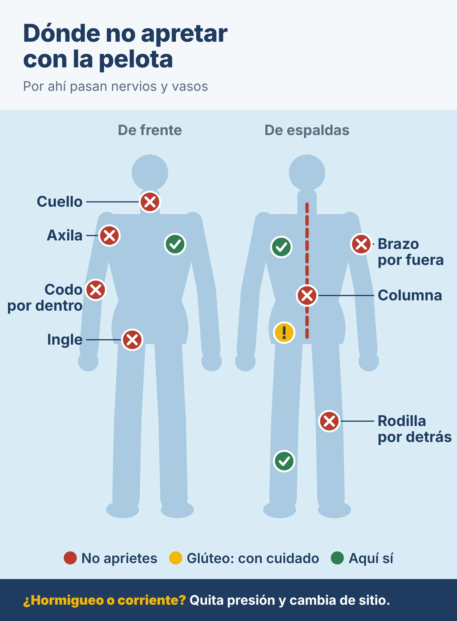Diagrama: Dónde no apretar con la pelota. De frente: cuello, axila, codo por dentro e ingle. De espaldas: columna, brazo por fuera y rodilla por detrás. El glúteo, con cuidado. Aquí sí: pectoral, espalda alta a los lados de la columna y gemelo.