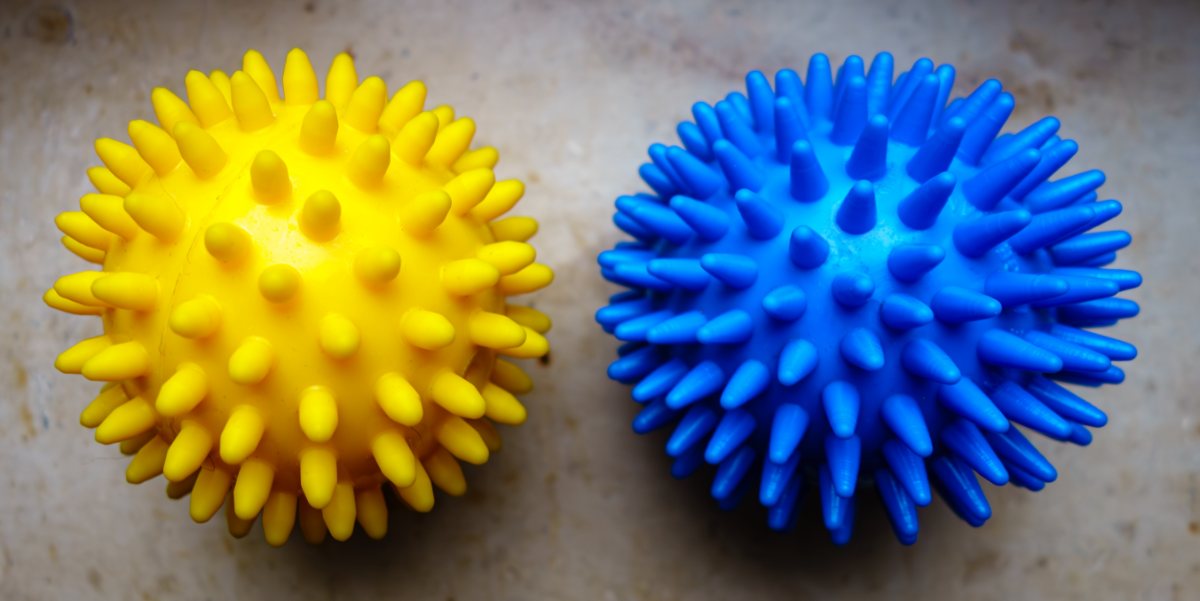 Dos pelotas de masaje con pinchos, una amarilla y otra azul.